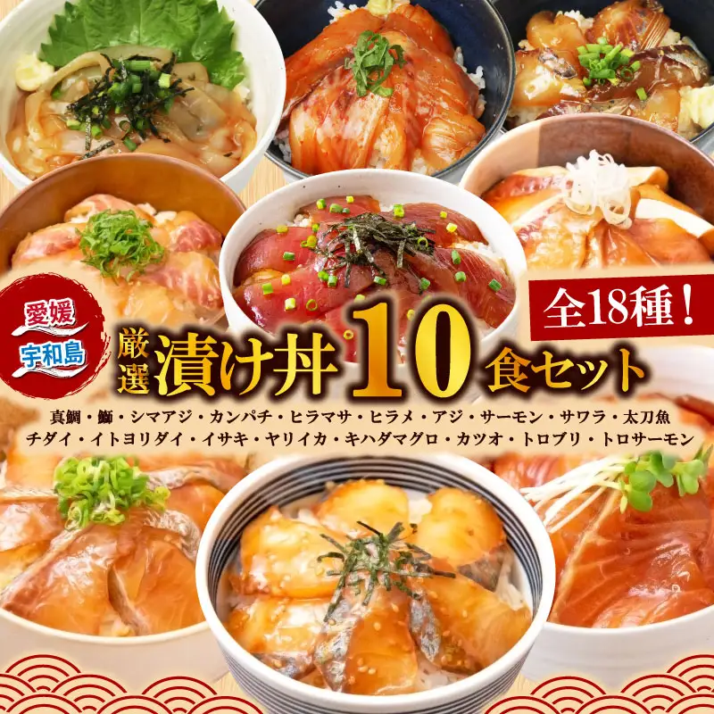 海鮮丼 10食 サーモン 等 南予ビージョイ 海鮮丼 D016-150021