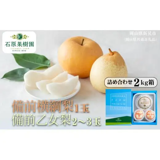 詰め合わせ 2kg箱 赤秀 備前横綱梨1玉(1～1.5kg玉)・備前乙女梨2～3玉 【先行予約 2026年11月中旬から順次発送】
