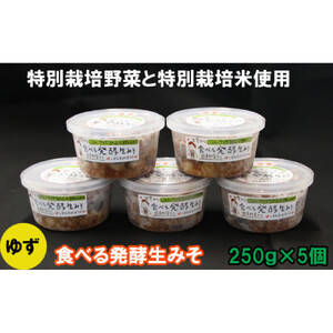 出雲のゆず入り食べる発酵生みそ250ｇ×５個