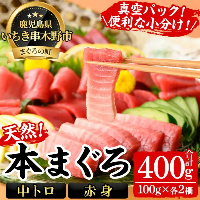 天然　本マグロ 中トロ 100g×2 赤身 100g×2 計400g 食べ比べ　小分け柵セット【00-041-15】