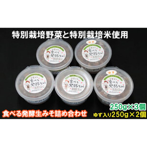 出雲の食べる発酵生みそ詰合せ250ｇ×５個
