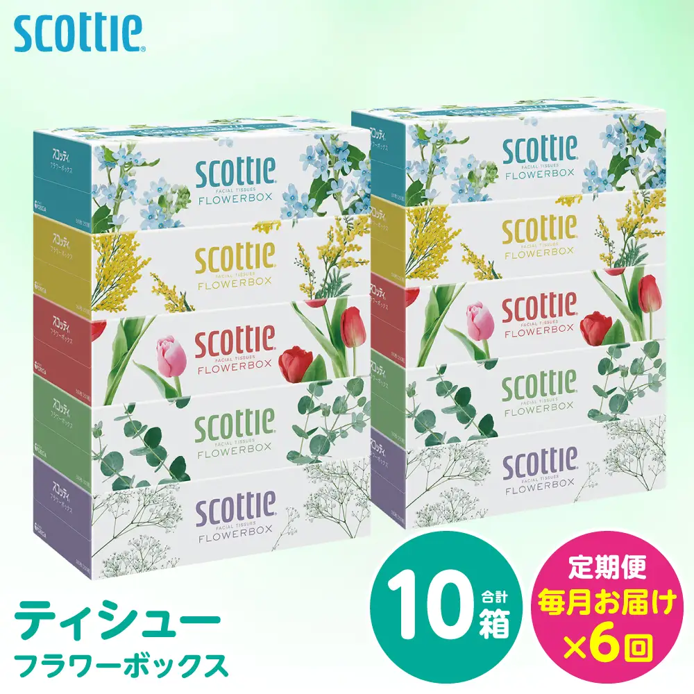 【定期便6回】【毎月お届け】【スコッティ】 ティシュー フラワーボックス 250組 10箱 計60箱 ティッシュ 日用品 生活必需品 消耗品 紙 まとめ買い 備蓄 防災備蓄 ストック デザインボックス 新生活 防災 生活用品 日用消耗品 箱ティッシュ
