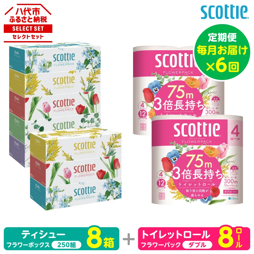 【定期便6回】【毎月お届け】【スコッティ】 組み合わせ ティシュー フラワーボックス 250組 8箱 計48箱 トイレットロール ダブル フラワーパック 3倍長持ち 8ロール 計48ロール ティッシュ トイレットペーパー 日用品 ストック 防災備蓄 ストック 備蓄 新生活 防災 消耗品 生活用品 日用消耗品 箱ティッシュ