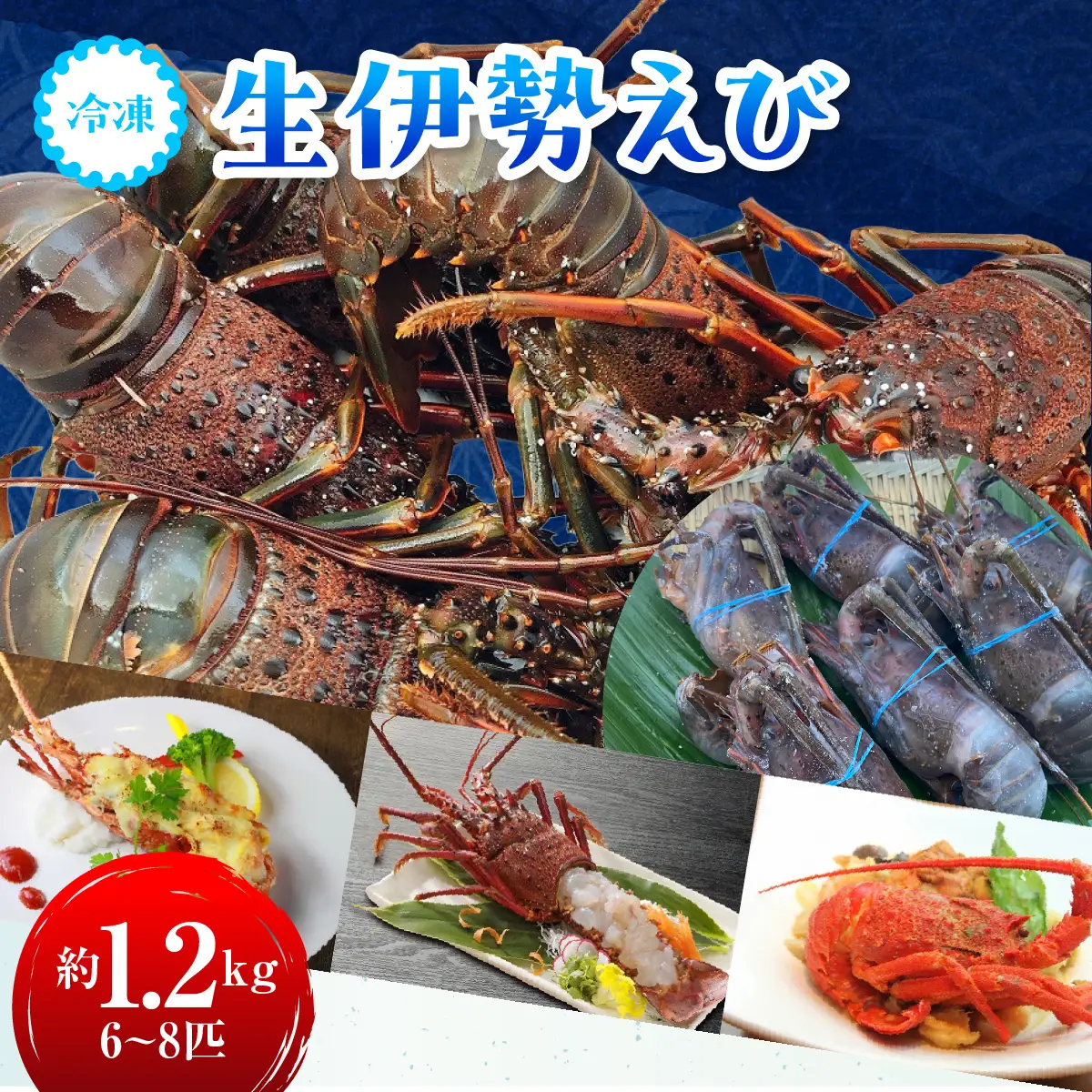 D127 冷凍生伊勢えびA　ONJA009