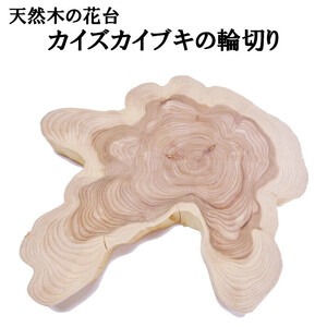 天然木の花台　カイズカイブキの輪切り