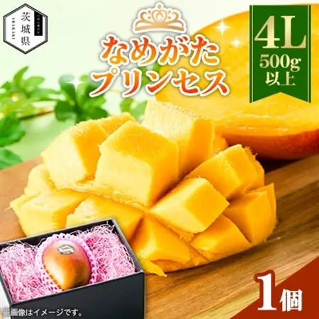 茨城県産 なめがたプリンセスマンゴー4L【500g以上】1個【配送不可地域：離島・沖縄県】【1647816】
