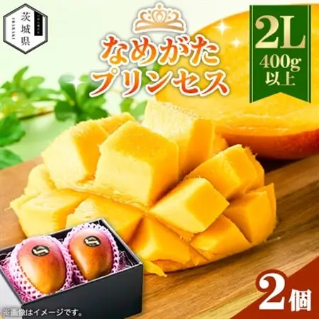 茨城県産 なめがたプリンセスマンゴー2L【400g以上】2個【配送不可地域：離島・沖縄県】【1647819】