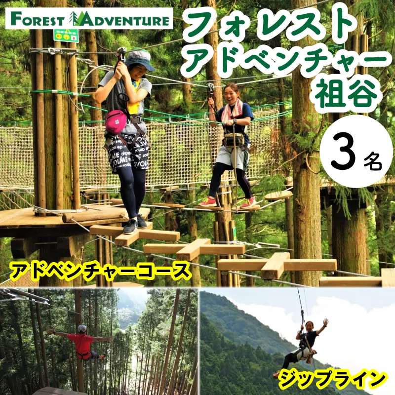 フォレストアドベンチャー 祖谷 アドベンチャーコース 3名 チケット 観光 【 観光 】