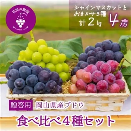 岡山　花笑み農園の『食べ比べ4種』シャイン入り　贈答用　2kg (4房) 4M-2上【配送不可地域：離島】【1650752】
