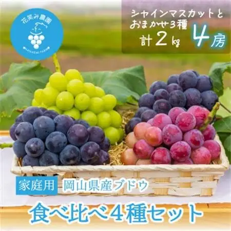 【2026年先行受付】岡山　花笑み農園の『食べ比べ4種』シャイン入り　家庭用　2kg(4房)4M-2【配送不可地域：離島】【1650753】