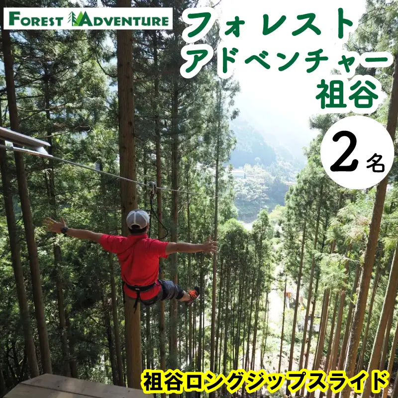 フォレストアドベンチャー 祖谷 ロングジップスライド 2名 チケット 観光 【 観光 】