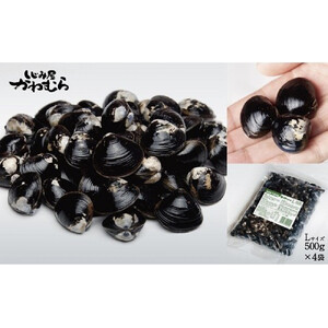 【宍道湖産】冷凍 砂抜きしじみ　Lサイズ 2kg（500g×4袋））| しじみ
