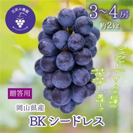 岡山　花笑み農園の『BKシードレス』贈答用　約2kg (3～4房)　B-2上【配送不可地域：離島】【1650769】