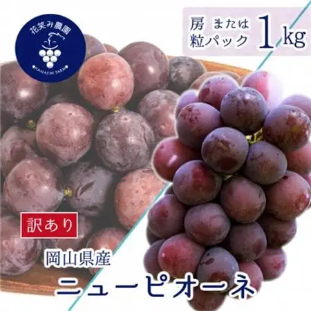 岡山　花笑み農園の 『訳ありニューピオーネ』1kg　WP-1【配送不可地域：離島】【1650778】