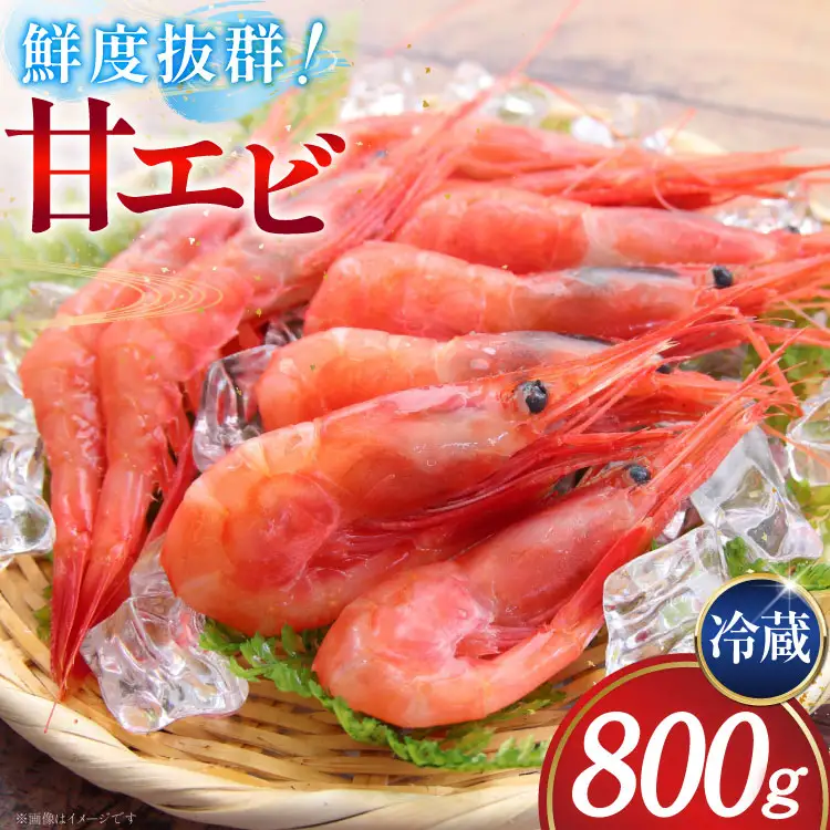 甘エビ 冷蔵 800g [小川水産 石川県 志賀町 CM6006]