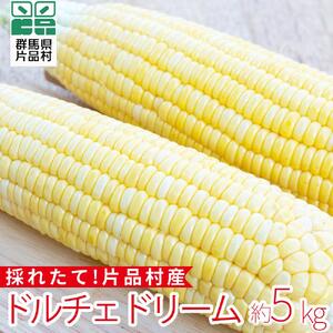 片品村産とうもろこし (品種：ドルチェドリーム) 1箱 約5kg とうもろこし ドルチェドリーム スイートコーン 片品村 トウモロコシ