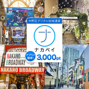  ナカペイふるさと納税ポイント 3,000円分 |旅行 旅行