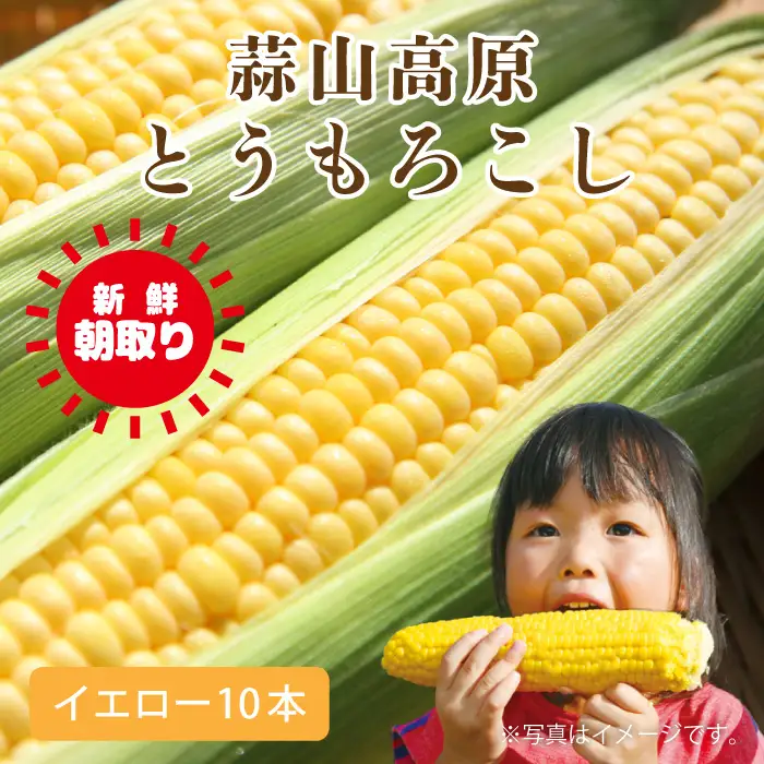 蒜山高原 とうもろこし イエロー10本 【配送不可地域：北海道／沖縄県／離島】【jujy001-02】