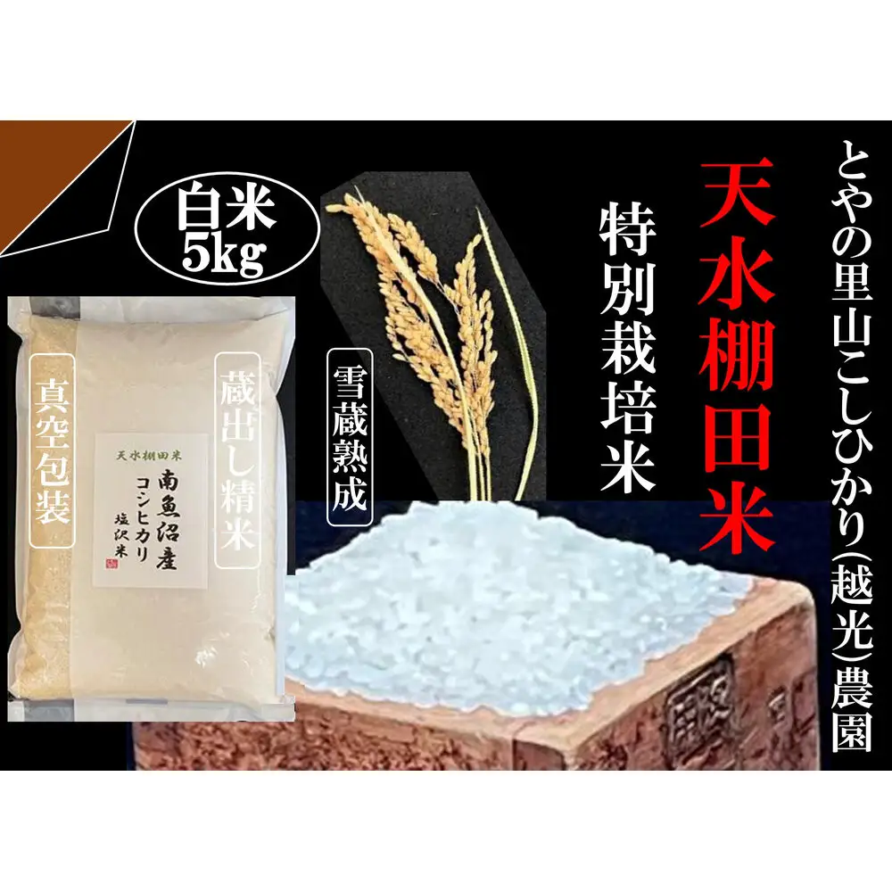 「とやの里山継承プロジェクト対象」【天水棚田米】南魚沼塩沢産コシヒカリ　精米5kg全1回【銘柄米 ブランド米 精米 こしひかり コシヒカリ 魚沼産 新潟米 産地直送 お米 米 こめ コメ ご飯 御飯 ごはん】