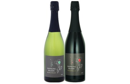 ビュル赤・白　750ml　各1本【AZ-062】