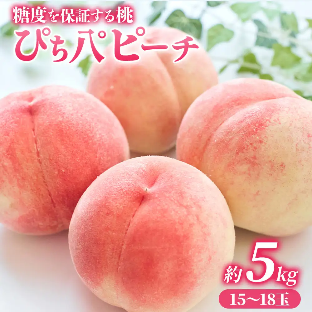 【2025年発送分残り僅か】桃 約5kg (15～18玉) 「ぴちパ　ピーチ」 桃 桃 桃 桃 桃