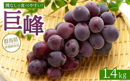 【先行受付】巨峰 1.4kg  ※2026年8月上旬～9月上旬頃に順次発送予定 ※離島への配送不可