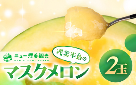 【先行予約】マスクメロン 2玉 メロン ニュー渥美観光  