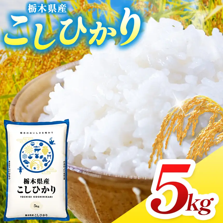 栃木県産 コシヒカリ 5kg 