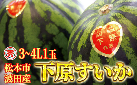 【先行受付】スイカ 下原すいか 信州 松本波田産 3～4L ( 8kg ～ 11kg ) × 1玉 