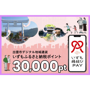 出雲市 デジタル地域通貨「いずも縁結びPAY」 いずもふるさと納税ポイント30,000pt（1pt＝1円）【30,000円分 電子決済 キャッシュレス 飲食 宿泊 体験 電子マネー 島根県 出雲市】