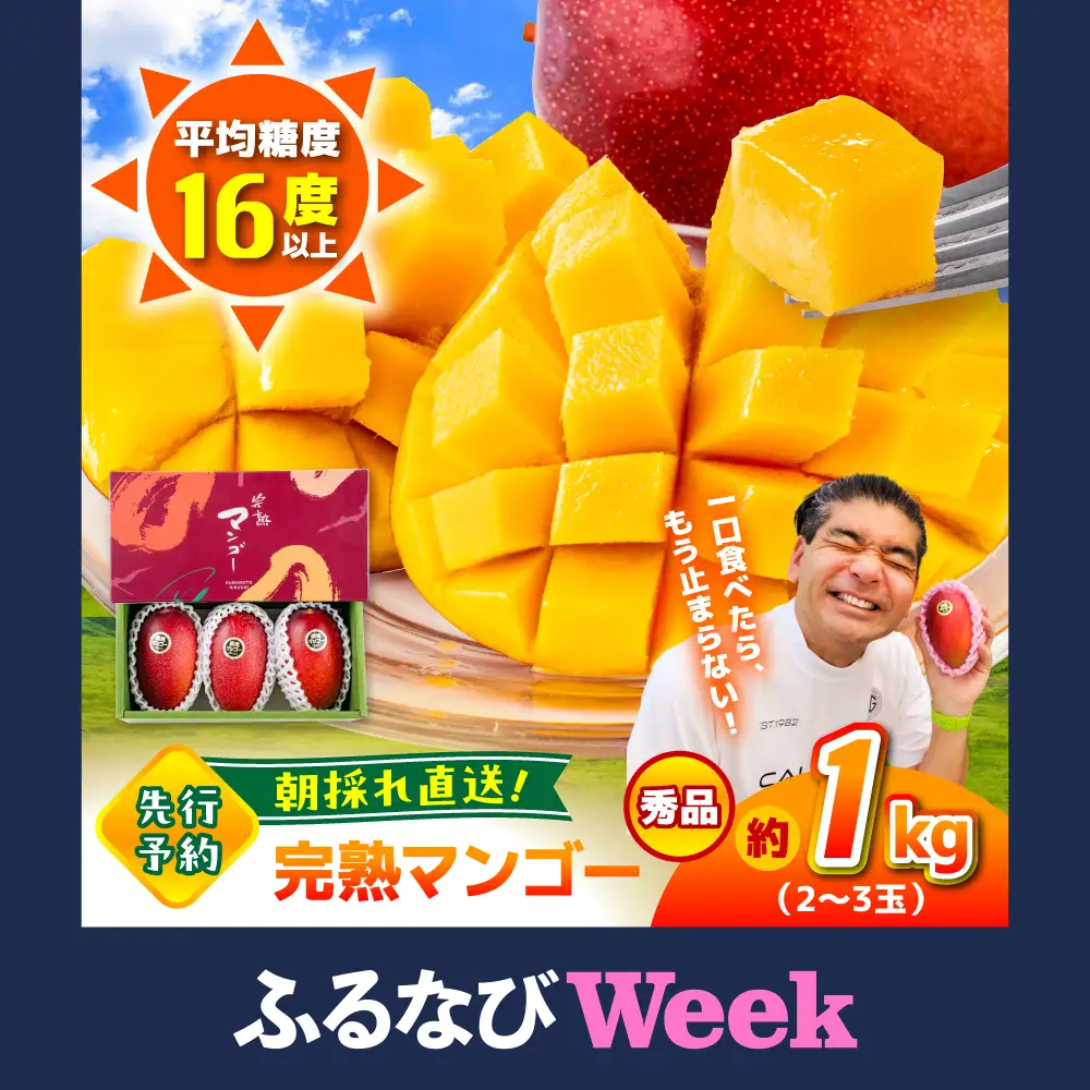 【ふるなびWEEK対象】【2026年6月より発送】秀品 菊池マンゴー 約1kg 友枝マンゴー農園[AYDF003]