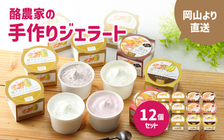 醍醐桜 恋するジャージージェラート 12個入 F / ジャージー牛100％使用 酪農家のジェラート 贈り物 プレゼント ジャージー ギフト スイーツセット 贈答 冷凍 子供から大人まで 人気 贅沢 ミルク バナナ いちご チョコチップ 【配送不可地域：北海道／沖縄県／離島】【jujy020-01】