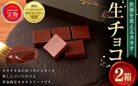 「にっぽんの宝物世界大会2023 日本と海外の融合部門 第2位獲得！」 【世界を変えるカカオ】 生チョコレート 計2箱（1箱5個入） ／ チョコレート 生チョコ カカオ カカオスイーツ お菓子 洋菓子 スイーツ デザート 冷凍