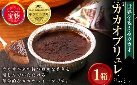 「にっぽんの宝物世界大会2023 日本と海外の融合部門 第2位獲得！」 【世界を変えるカカオ】 濃厚カカオブリュレ 1箱（3個入） ／ ブリュレ クリームブリュレ カカオ カカオスイーツ カラメル お菓子 洋菓子 スイーツ デザート 冷凍