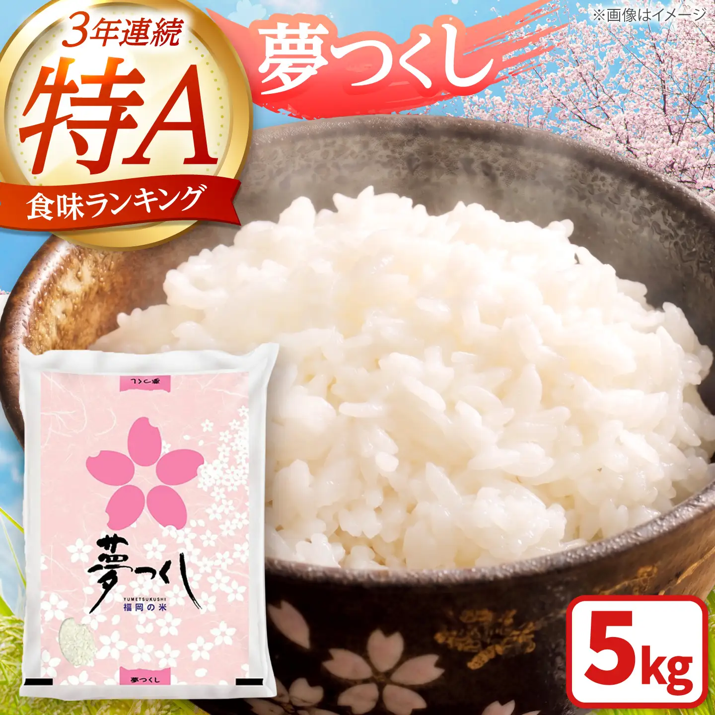 夢つくし 白米5kg [BGAA084] 5キロ 白米