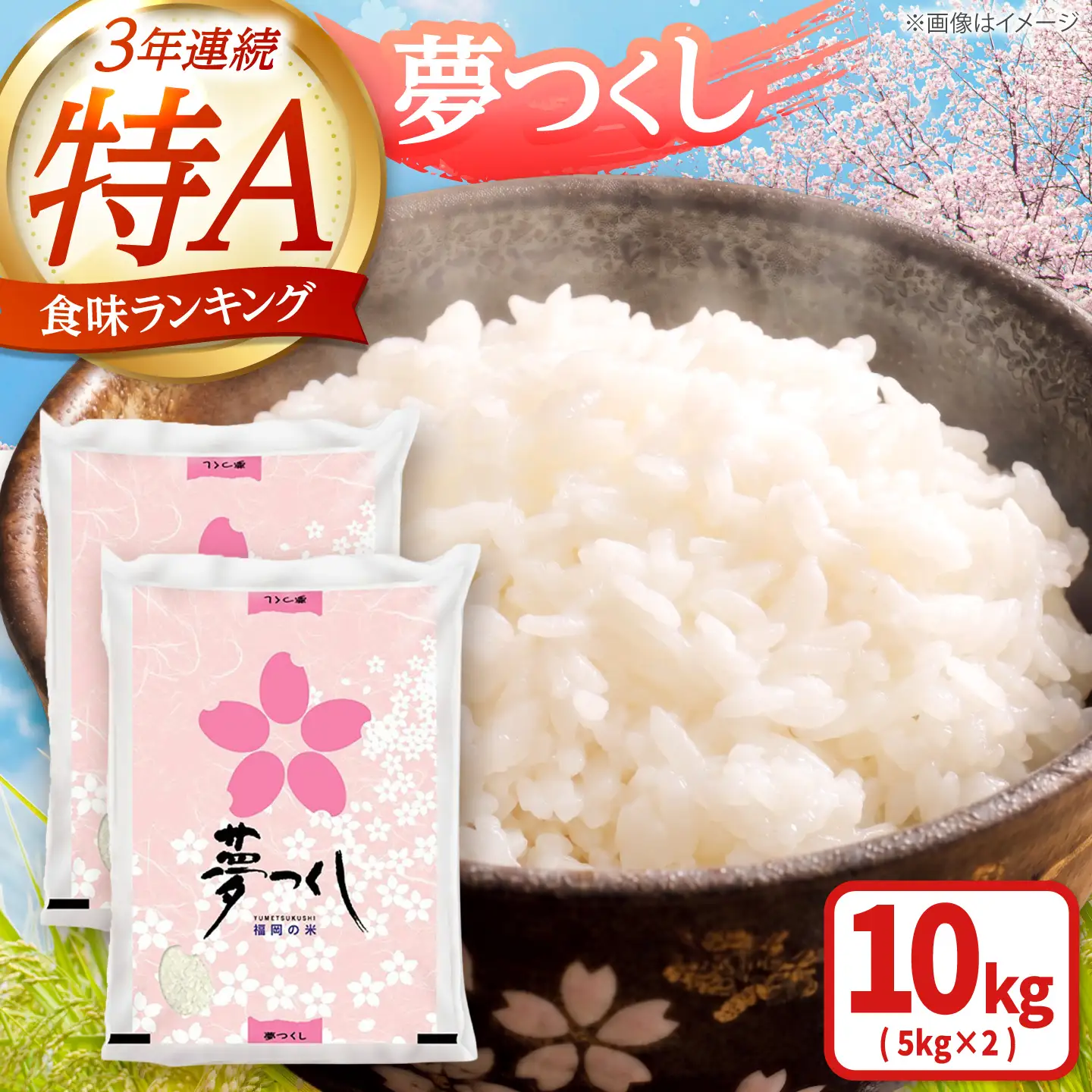 夢つくし 白米 10kg [BGAA086] 白米