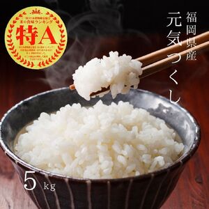 【先行予約】【令和7年産】元気つくし 白米 5kg [BGAA090] 元気つくし