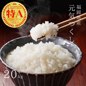 【先行予約】【令和7年産】元気つくし白米20kg(5kg×4袋)[BGAA094] 大容量 大容量