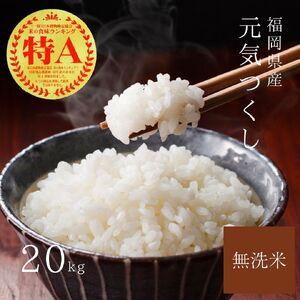 【先行予約】【令和7年産】元気つくし無洗米20kg(5kg×4袋)[BGAA095] 大容量 無洗米 元気つくし 大容量