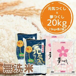 【先行予約】【令和7年産】福岡県産米食べ比べ【無洗米】夢つくしと元気つくしセット 計20kg[BGAA099]白米 食べ比べ 白米 食べ比べ