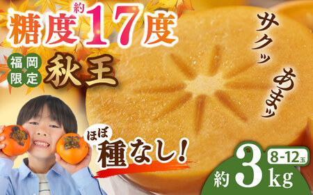 【先行予約】秋王柿約3kg(8-12玉) [BGAG016]種なし秋王柿