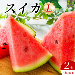 先行予約 スイカL2玉 6kg以上 2玉 ※6月上旬～8月中旬頃に順次発送予定（こちらの返礼品は、大栄西瓜ではありません）西瓜 すいか すいか フルーツ 果物