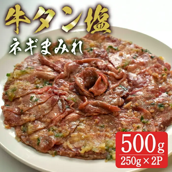 牛タン塩 ネギまみれ 500g(250g×2p) 牛タン タン 牛たん 牛肉 肉 食品 冷凍保存 焼肉 BBQ バーベキュー 焼き肉 小分け 【有限会社ちば食品】tm377