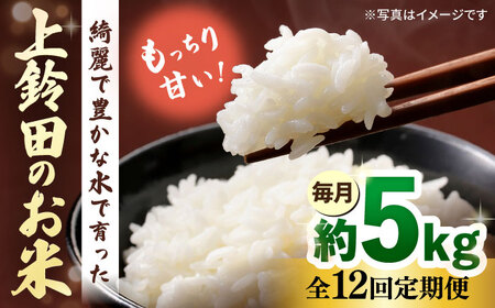 【全12回定期便】上鈴田のお米 5kg 白米 米 長崎県産 大村市 鈴田峠農園 [ACAJ010]
