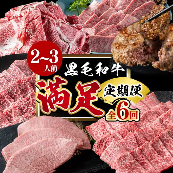 【定期便全6回】＜A4・A5等級＞黒毛和牛堪能〈満足〉定期便（2～3人分）総重量1.95kg 鹿児島県産 黒毛和牛 和牛 肉 牛肉 国産 九州産 鹿児島県産 焼肉 焼き肉 BBQ A4 A5 赤身 切り落とし カルビ お楽しみ 食べ比べ ハンバーグ ミスジ 霜降り ステーキ 2人前 3人前 t0069-001