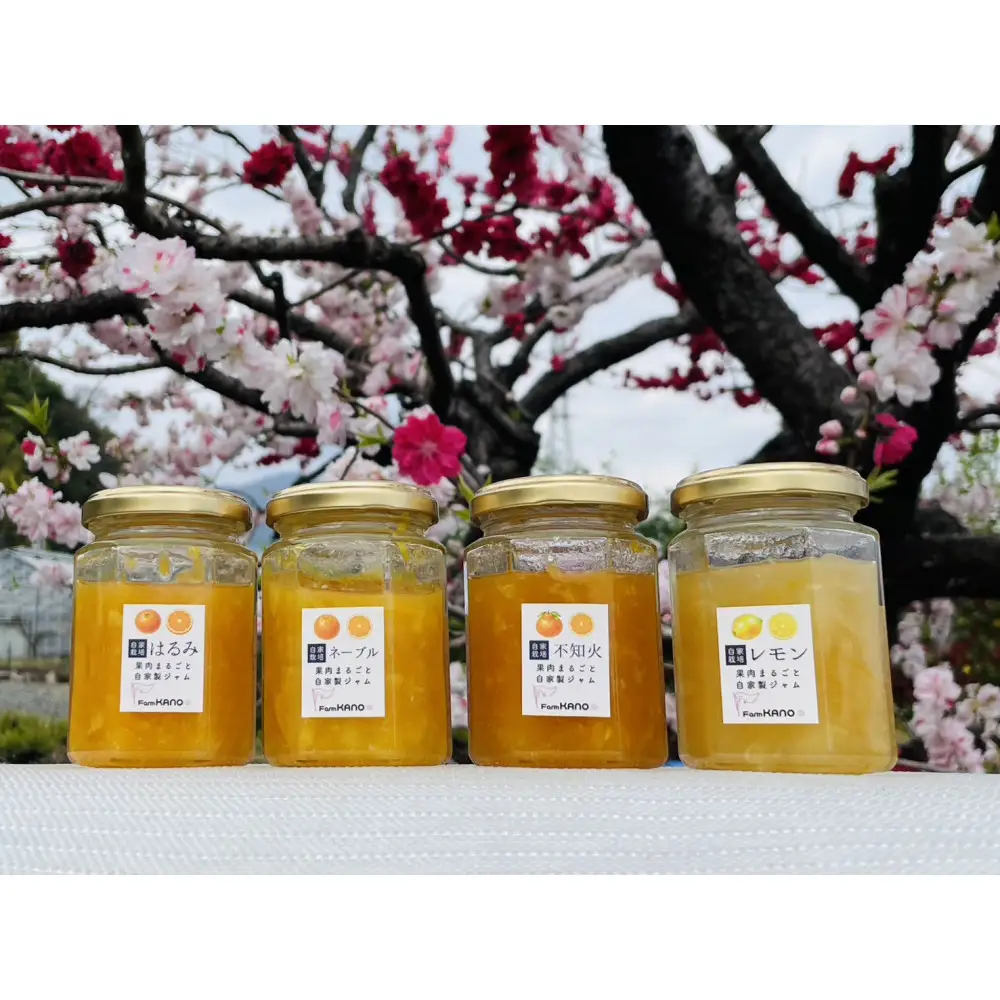 柑橘農家手作り! 無添加柑橘ジャム 4種食べ比べセット フルーツ 柑橘 オレンジ◇