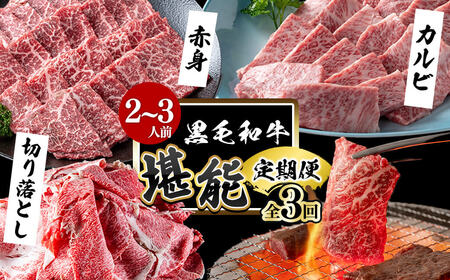 【定期便全3回】＜A4・A5等級＞黒毛和牛堪能〈お試し〉定期便（2～3人分）総重量900g 鹿児島県産 黒毛和牛 和牛 肉 牛肉 国産 九州産 鹿児島県産 焼肉 焼き肉 BBQ ランキング 人気 A4 A5 赤身 切り落とし カルビ お楽しみ 食べ比べ 2人前 3人前 t0035-002
