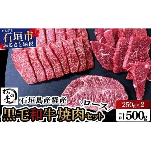 石垣島産経産黒毛和牛 焼肉セット計 500g　NA-01