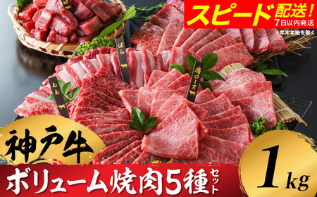 神戸牛 ボリューム焼肉セット 肩ロース 肩 モモ バラ 赤身角切り 1kg / 焼肉 食べ比べ 牛肉 小分け (200g×5種) 密着包装 赤身 霜降り国産牛 焼肉セット 焼き肉 冷凍 国産牛 ブランド牛 黒毛和牛 神戸ビーフ 化粧箱入り ギフト【帝神志方ミート】
