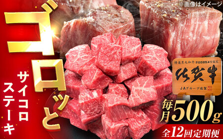 【12回定期便】佐賀牛 サイコロステーキ 500g /MKミート武雄[UEM027] ステーキ